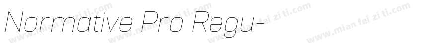 Normative Pro Regu字体转换